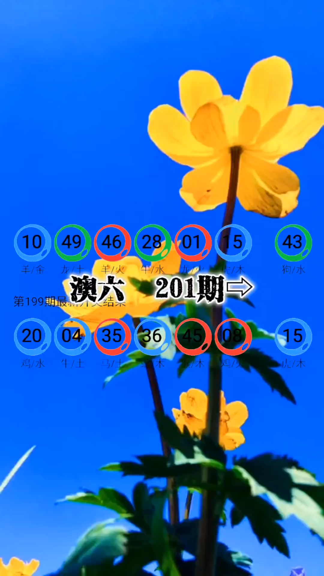 新澳今天最新资料晚上