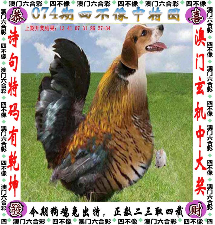 澳彩图片资料	