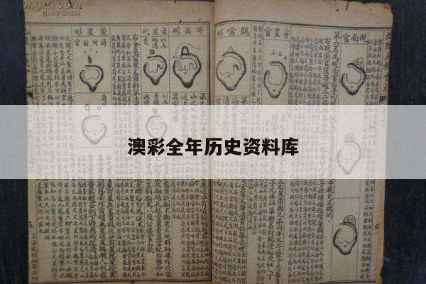 澳彩全年历史资料库