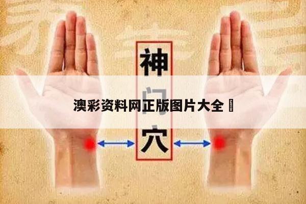 澳彩资料网正版图片大全	