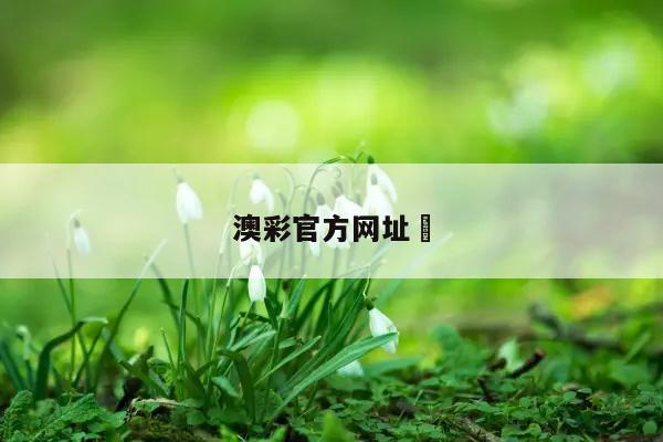 澳彩官方网址	