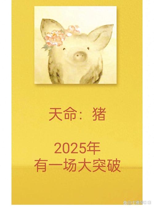 今日推荐资料：2025年正版资料免费大全视频猪跟什么生肖数字最有财运,2025年正版资料免费大全